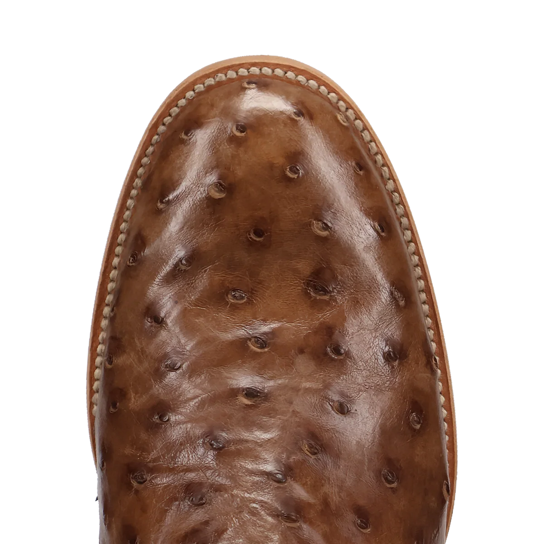 DAN POST MEN'S TOBACCO FULL QUILL OSTRICH ARDOR ROUND TOE BOOT