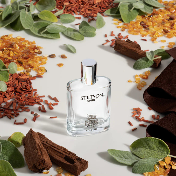 STETSON  MEN'S SPIRIT COLOGNE